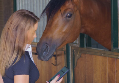 Clickhorse Marketing- EHCE - July 2026-369